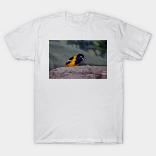 Troupial With Food T-Shirt